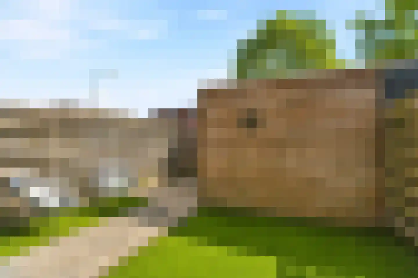 Boreasplantsoen 72 Arnhem thumbnail 27