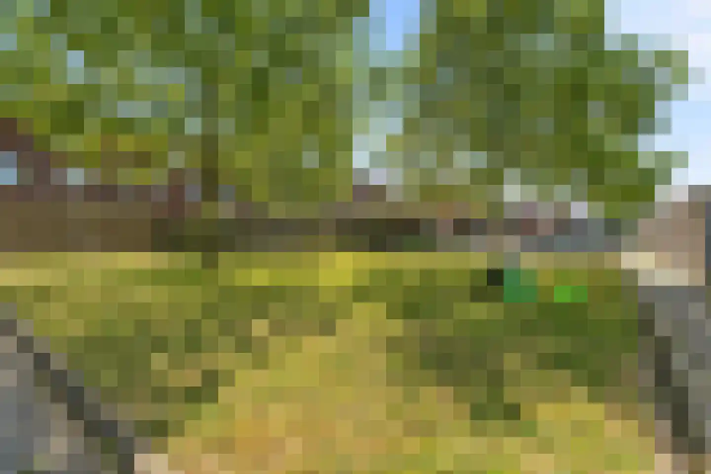 Boreasplantsoen 72 Arnhem thumbnail 33