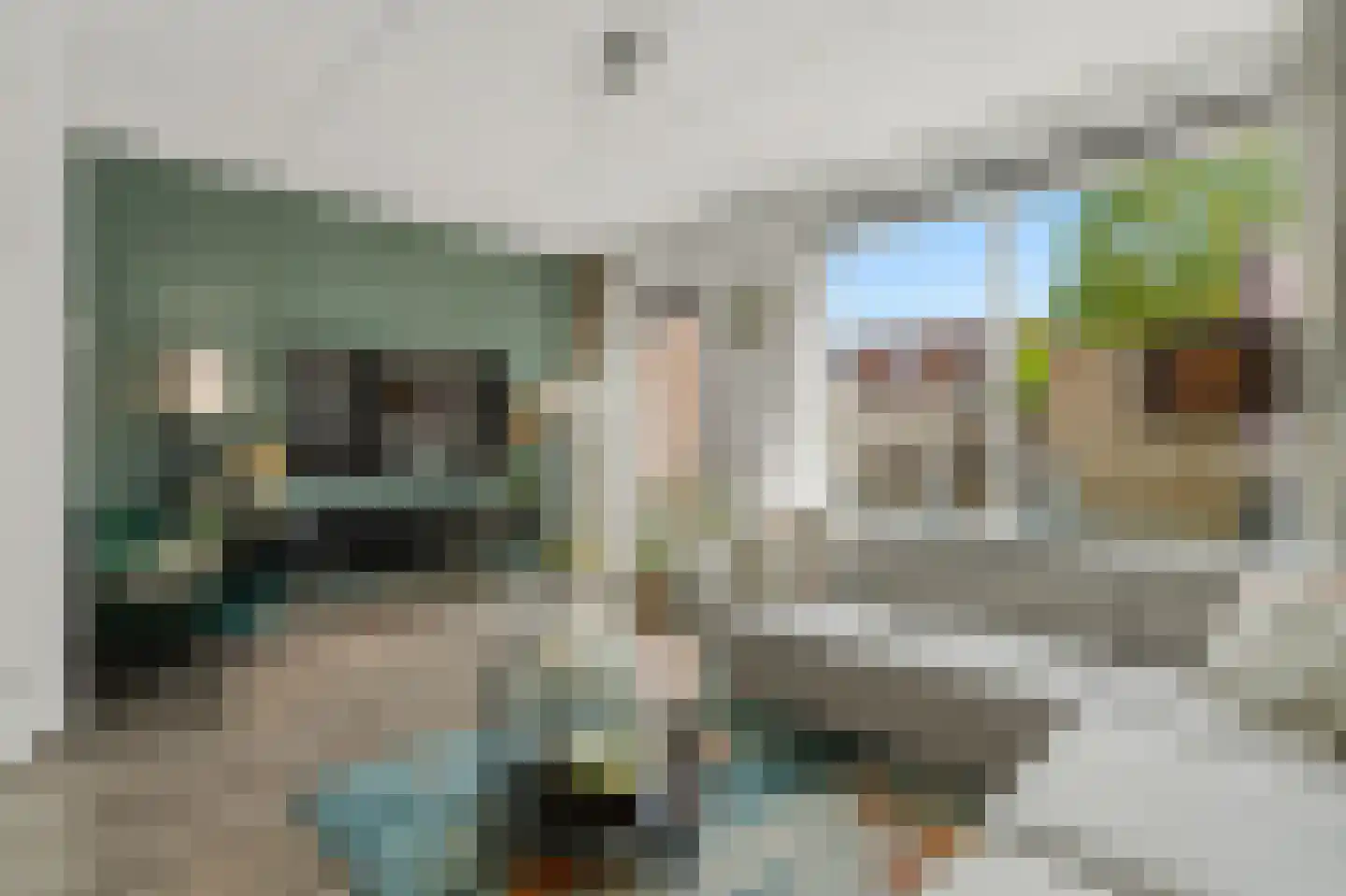 Boreasplantsoen 72 Arnhem thumbnail 8
