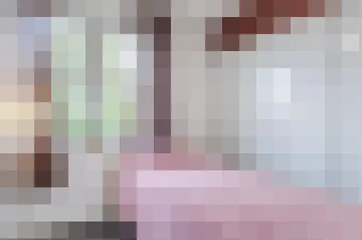 Boreasplantsoen 83 Arnhem thumbnail 17