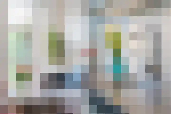 Boreasplantsoen 83 Arnhem thumbnail 8