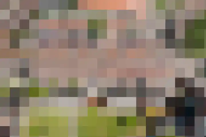 Boreasplantsoen 85 Arnhem thumbnail 15