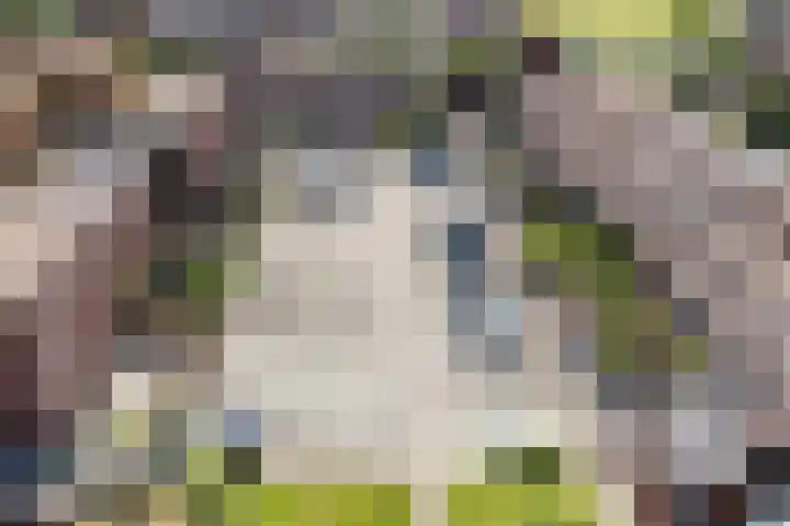Boreasplantsoen 85 Arnhem thumbnail 17