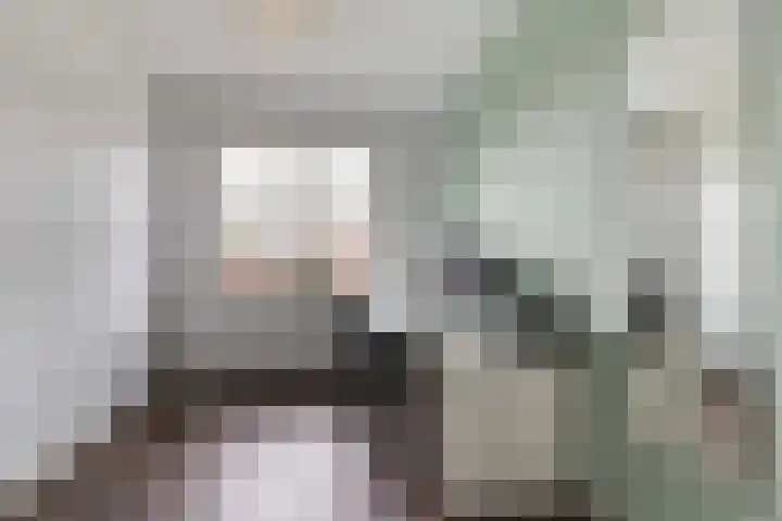 Boreasplantsoen 85 Arnhem thumbnail 24