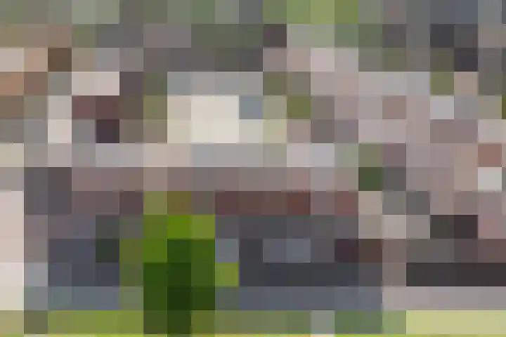 Boreasplantsoen 85 Arnhem thumbnail 29