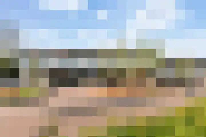 Boreasplantsoen 85 Arnhem thumbnail 35