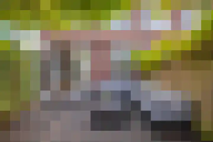 Boreasplantsoen 87 Arnhem thumbnail 27
