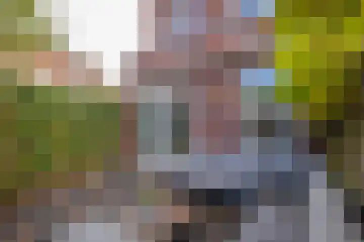 Boreasplantsoen 87 Arnhem thumbnail 28