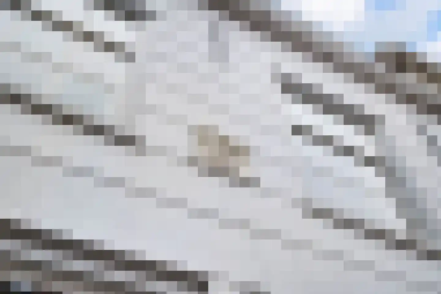 Boreel de Mauregnaultstraat 26 Grave thumbnail 23