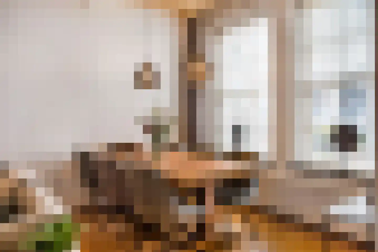 Boreel de Mauregnaultstraat 26 Grave thumbnail 4