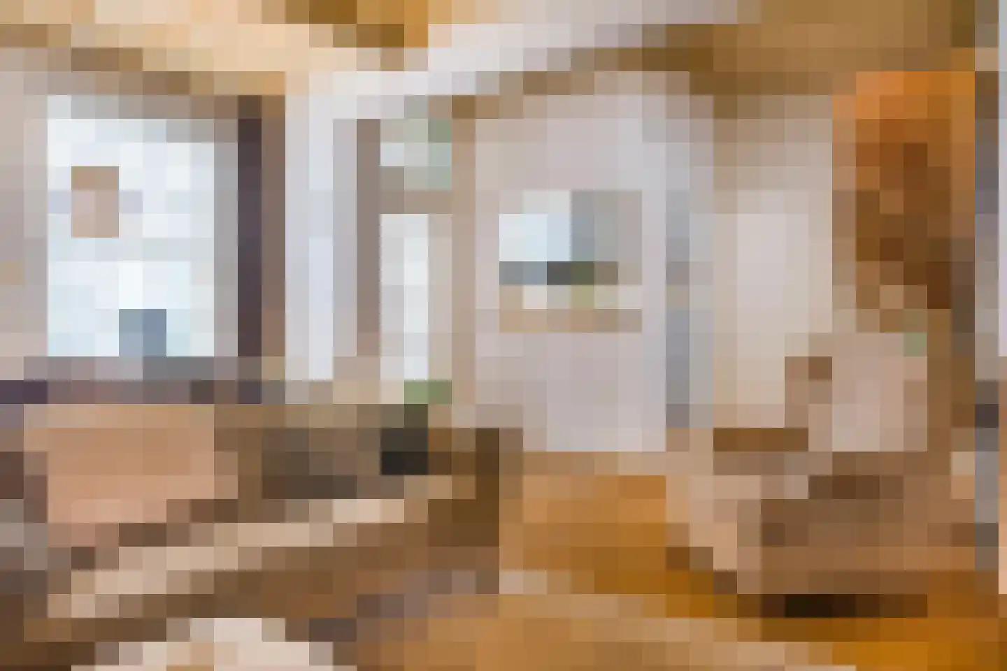 Boreel de Mauregnaultstraat 26 Grave thumbnail 9