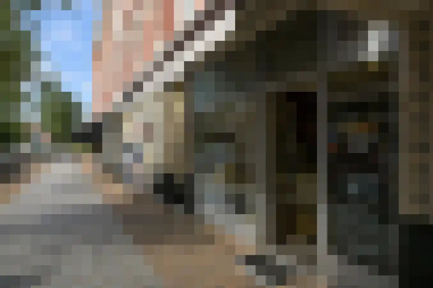 Boreelstraat 14 Den Haag thumbnail 46