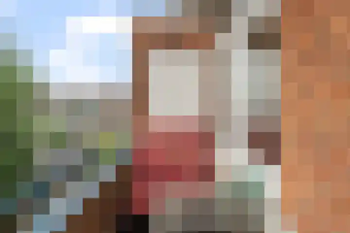 Boreelstraat 3 B Rotterdam thumbnail 30