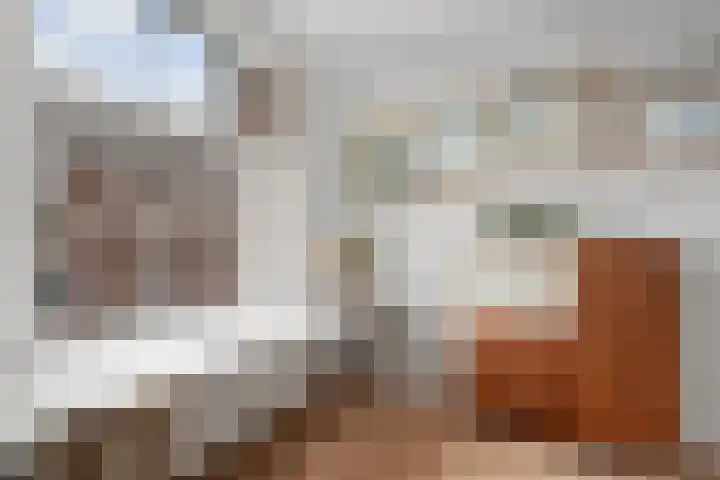 Boreelstraat 3 B Rotterdam thumbnail 34