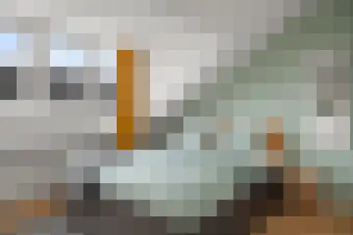 Boreelstraat 3 B Rotterdam thumbnail 38