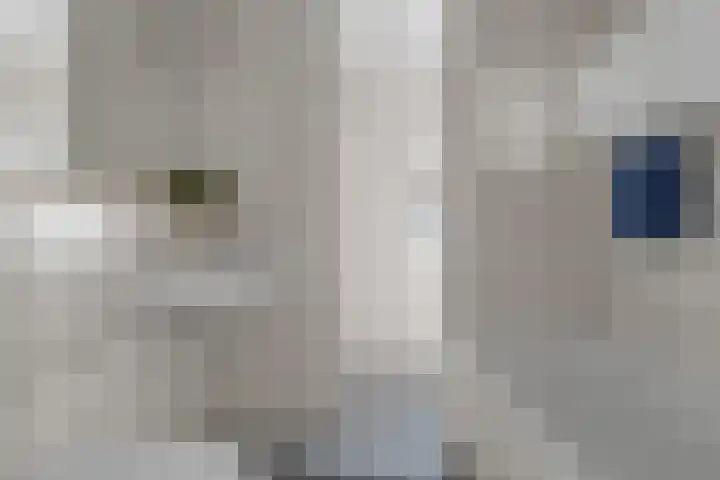 Boreelstraat 3 B Rotterdam thumbnail 46