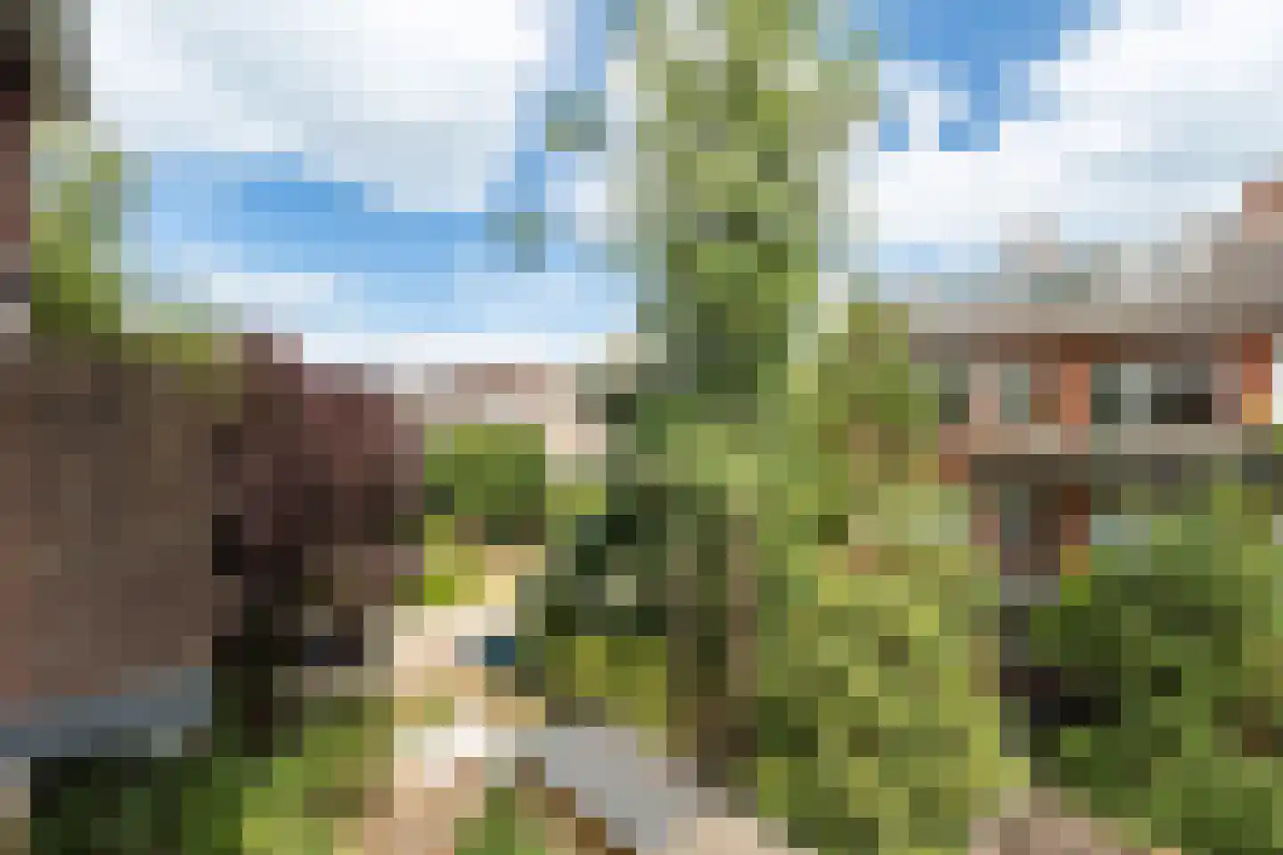 Boreelstraat 4 B Rotterdam thumbnail 17