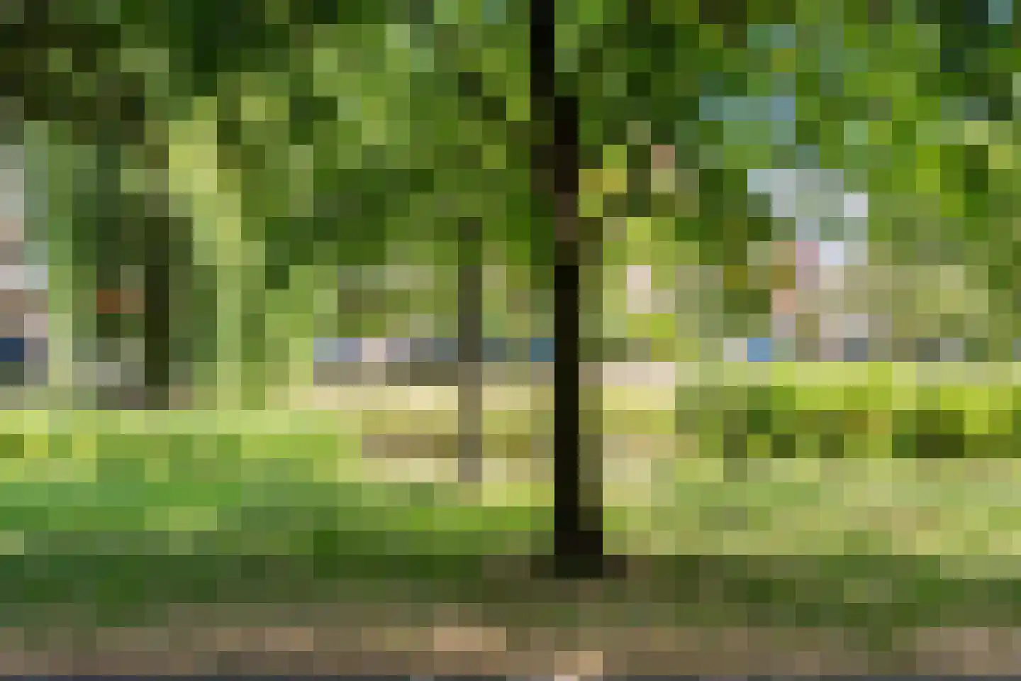 Boreelstraat 4 B Rotterdam thumbnail 35