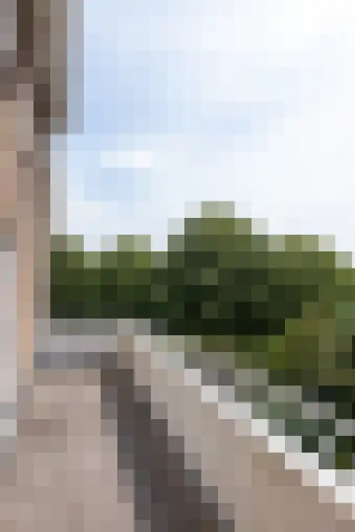 Boreelstraat 53 B Rotterdam thumbnail 10