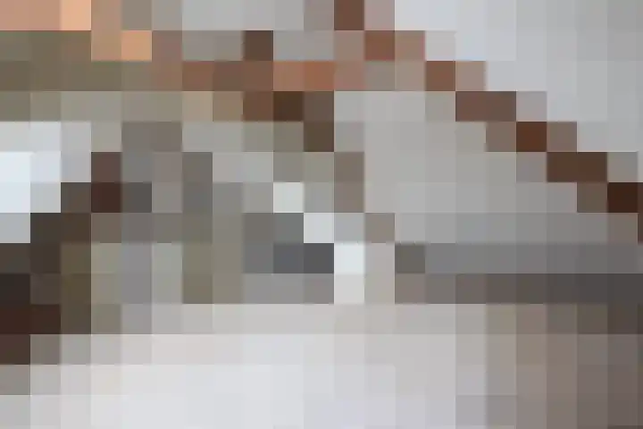 Boreelstraat 53 B Rotterdam thumbnail 31