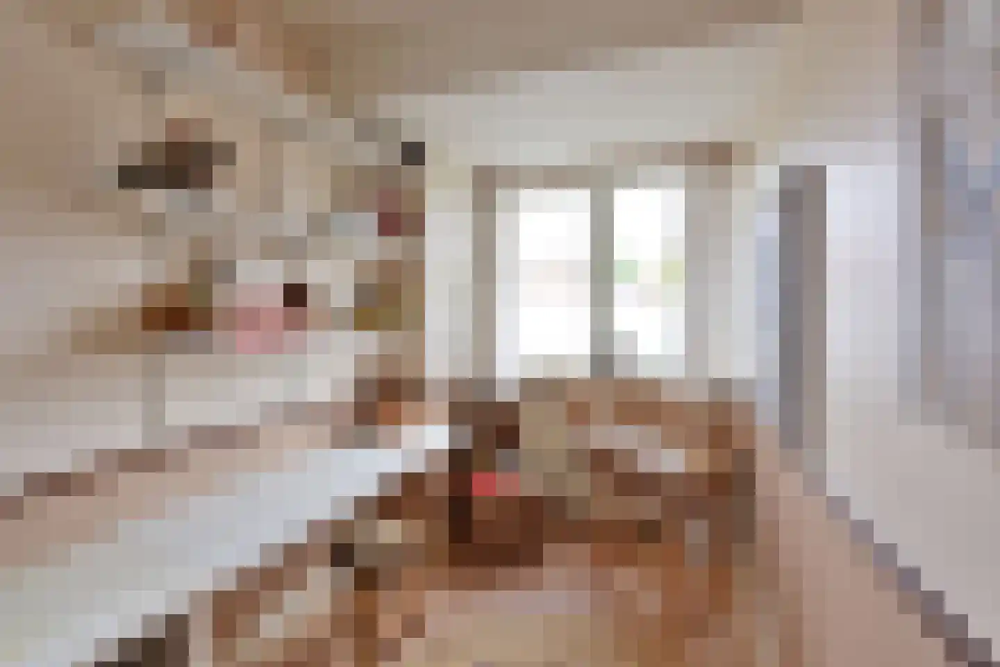 Boreelstraat 6 Hilversum thumbnail 11