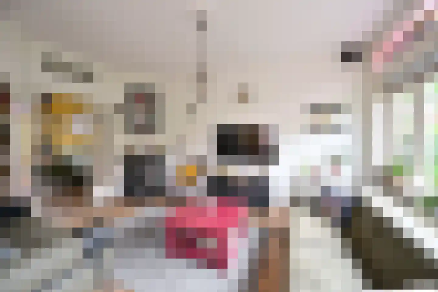 Boreelstraat 6 Hilversum thumbnail 7