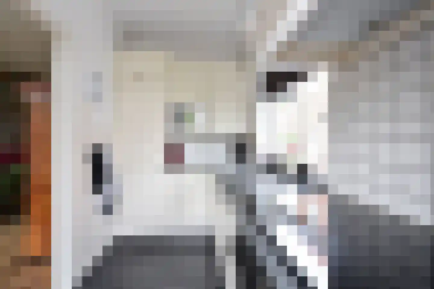 Boreelstraat 6 Hilversum thumbnail 9