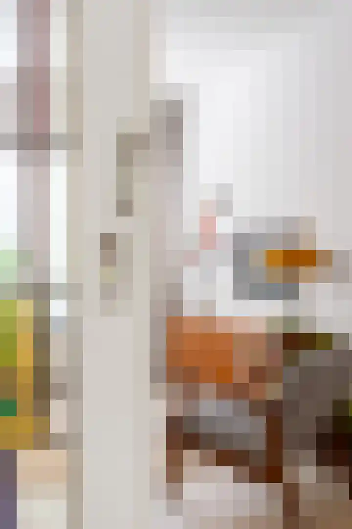 Boreelstraat 62 Rotterdam thumbnail 40