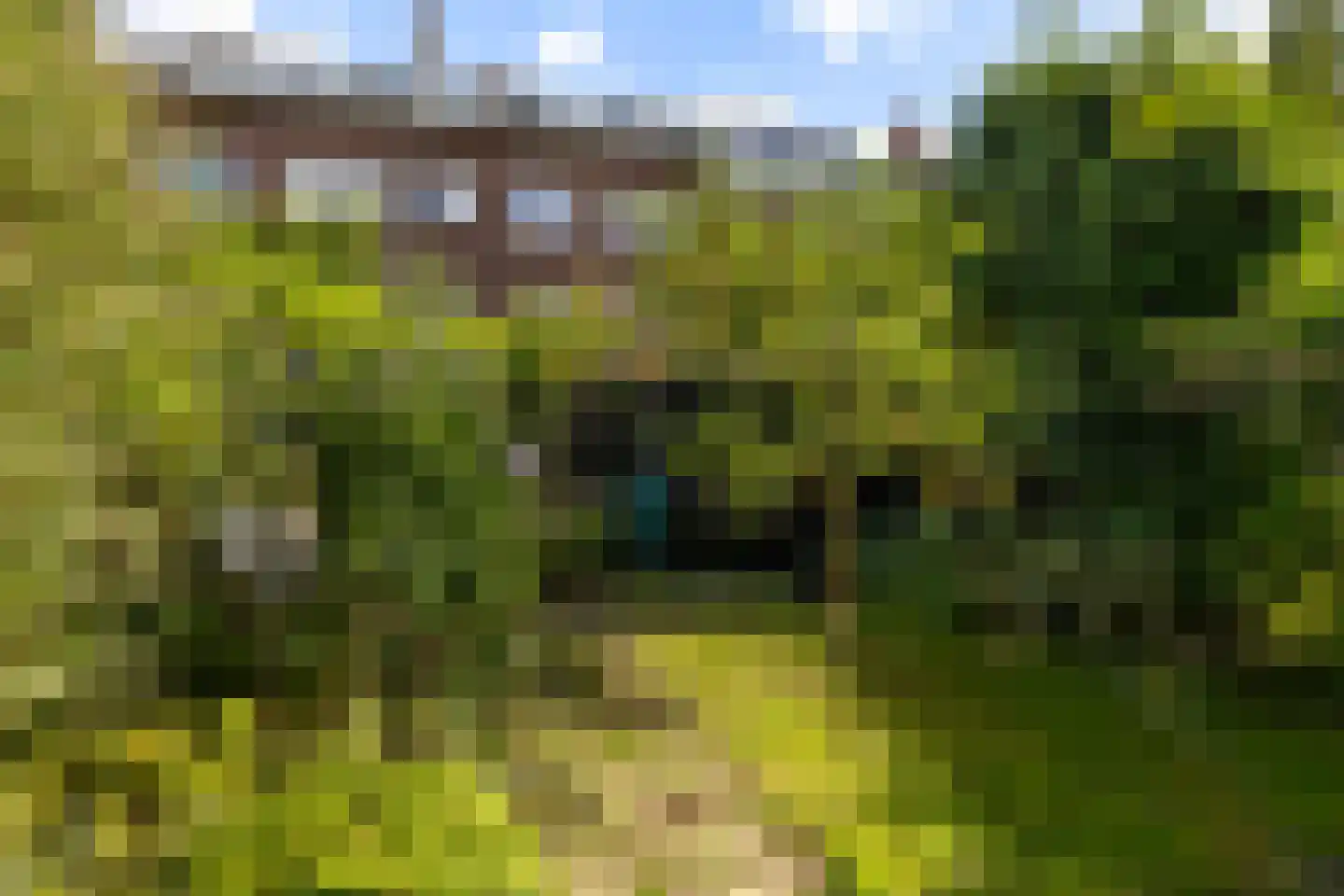 Boreelstraat 68 Rotterdam thumbnail 29