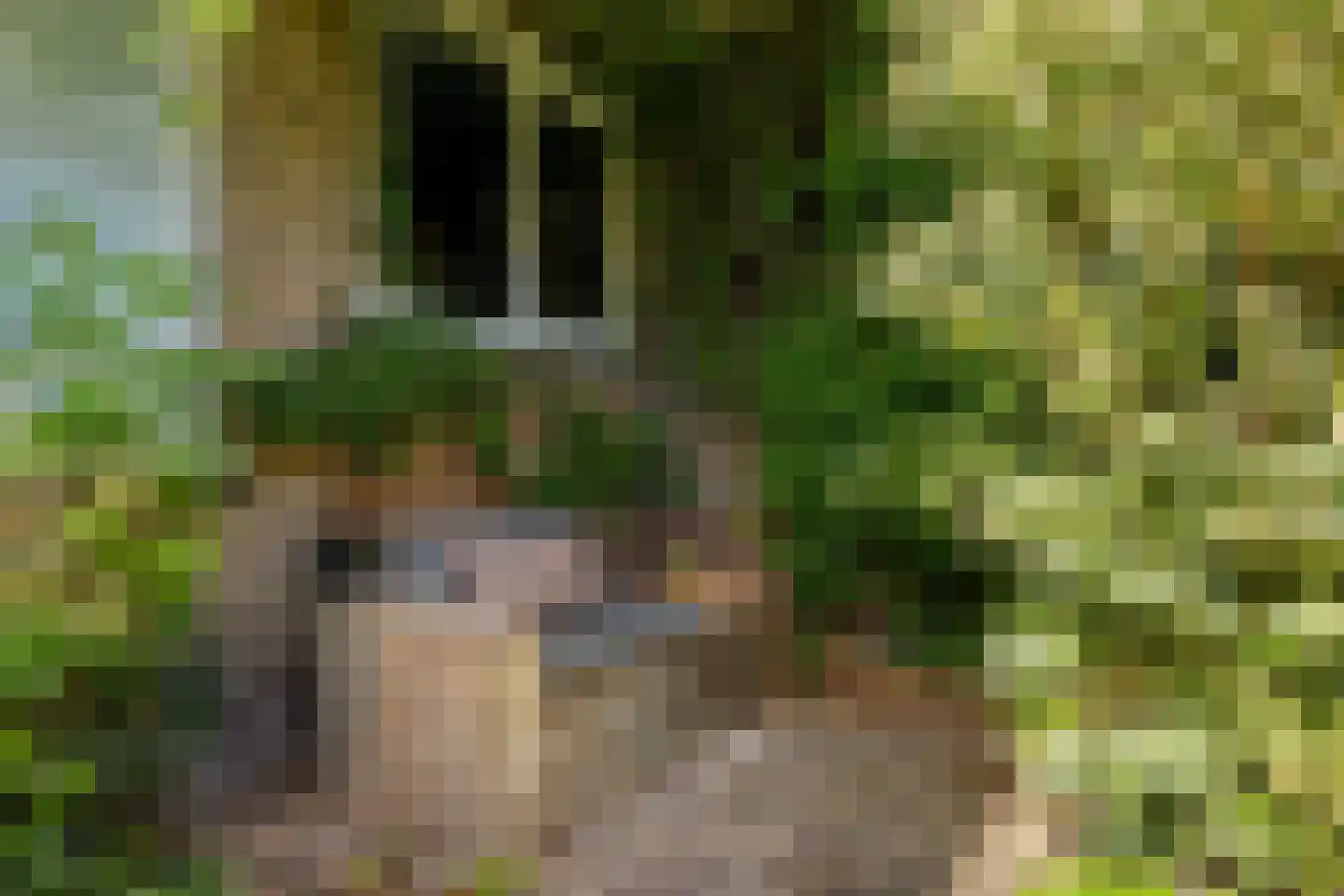 Boreelstraat 68 Rotterdam thumbnail 31