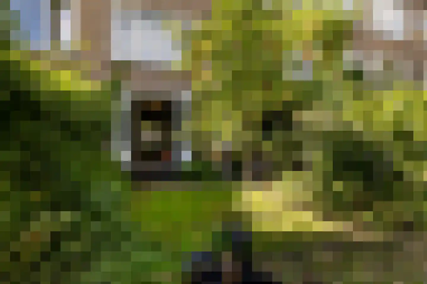 Boreelstraat 68 Rotterdam thumbnail 33