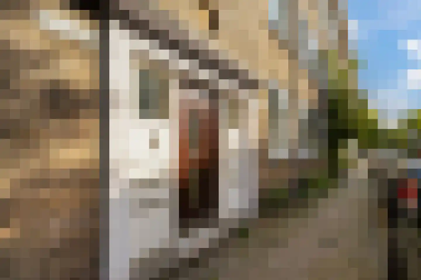 Boreelstraat 68 Rotterdam thumbnail 38