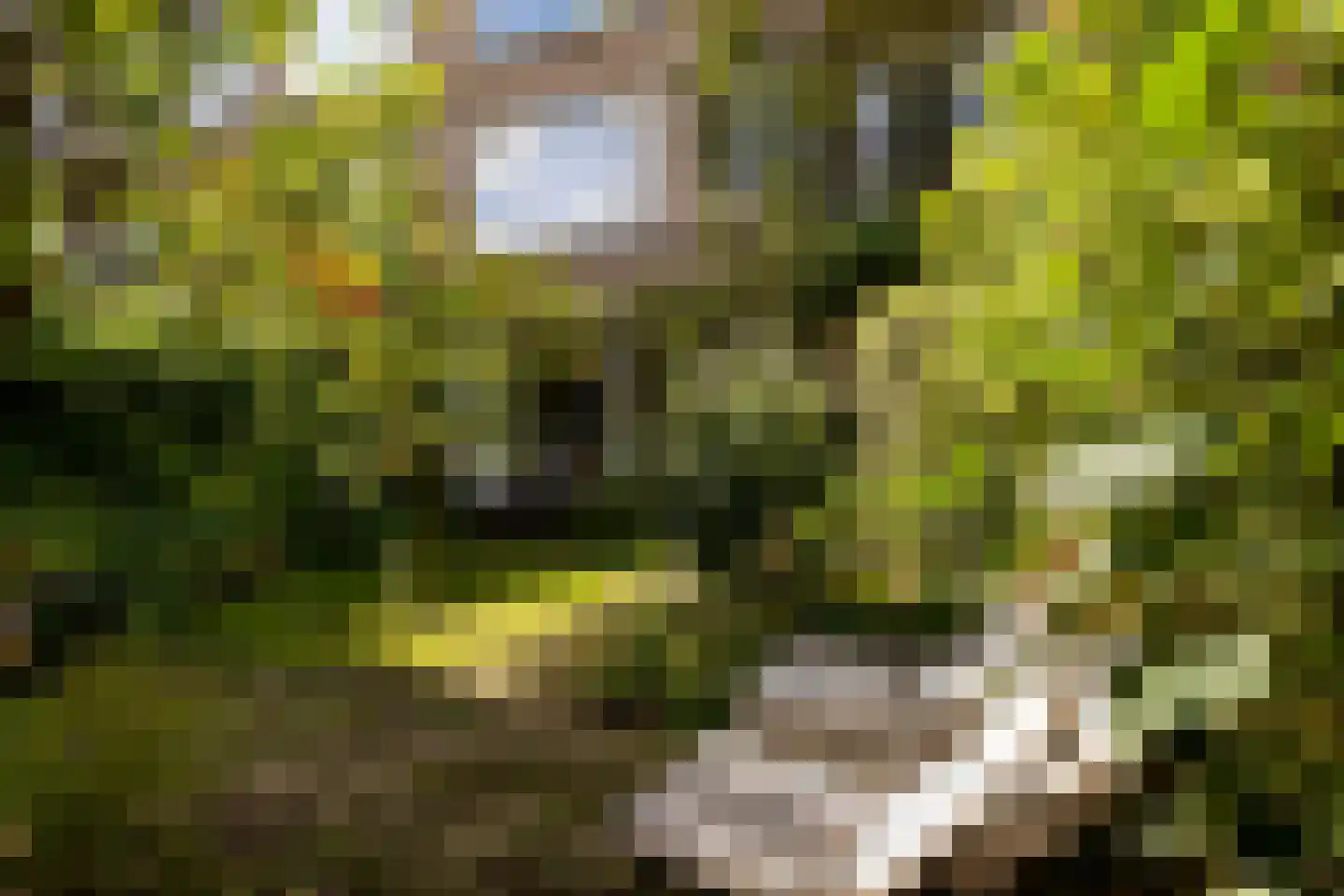 Boreelstraat 68 Rotterdam thumbnail 4