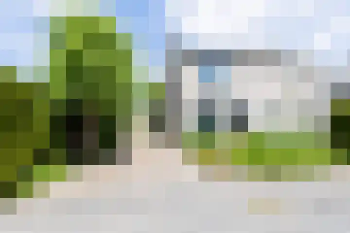 Borg 1 en Grijpskerk