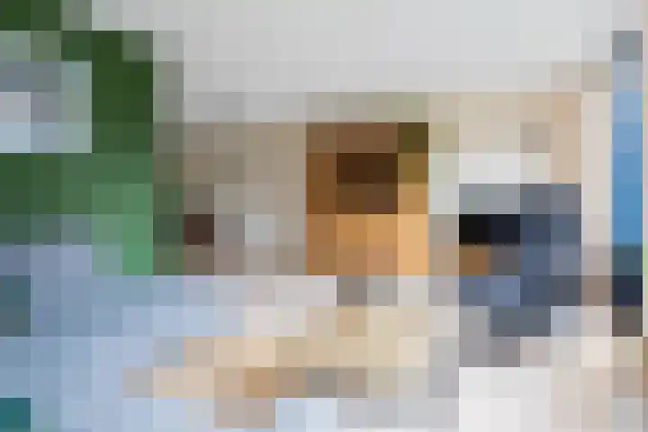 Borg 1 Grijpskerk thumbnail 11