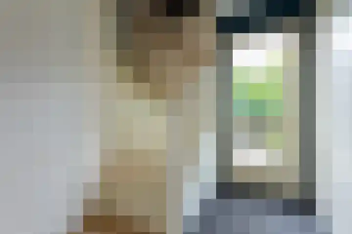Borg 1 Grijpskerk thumbnail 23