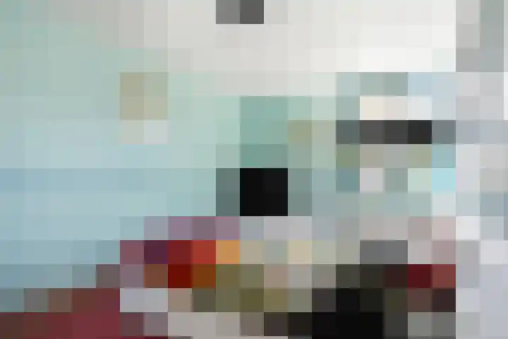 Borg 1 Grijpskerk thumbnail 26