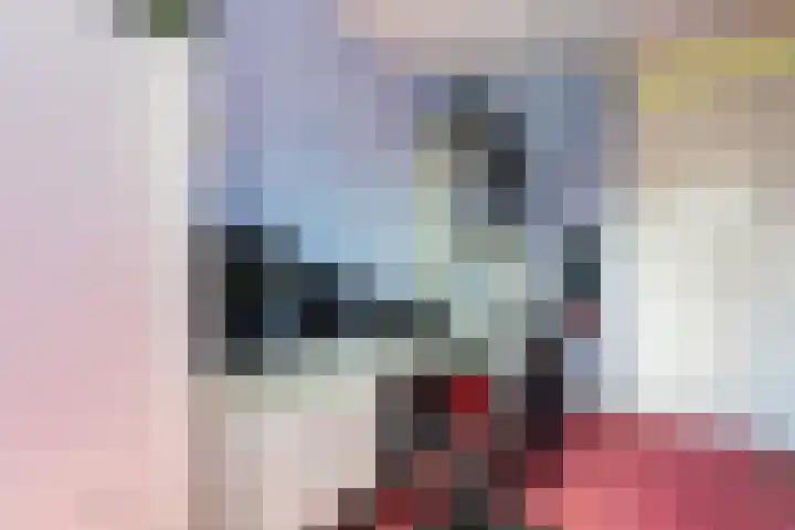Borg 1 Grijpskerk thumbnail 30