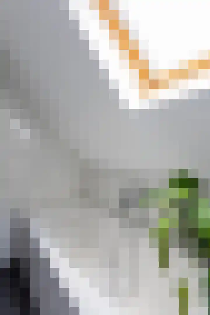 Borg 1 Grijpskerk thumbnail 36