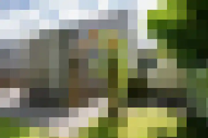 Borg 1 Grijpskerk thumbnail 4