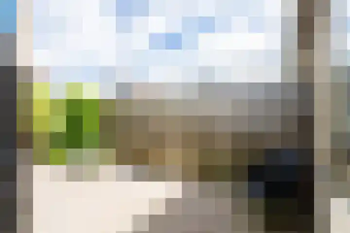 Borg 1 Grijpskerk thumbnail 41