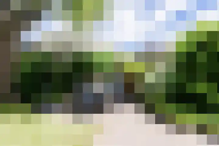 Borg 1 Grijpskerk thumbnail 42