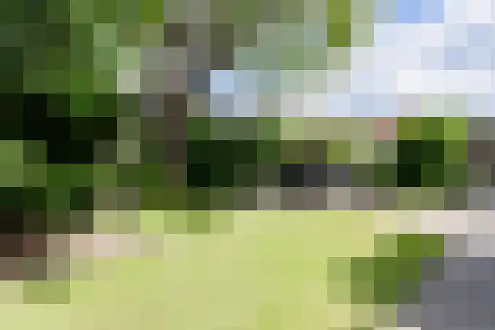 Borg 1 Grijpskerk thumbnail 43