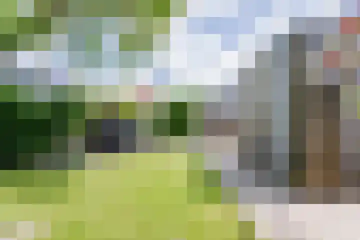 Borg 1 Grijpskerk thumbnail 44