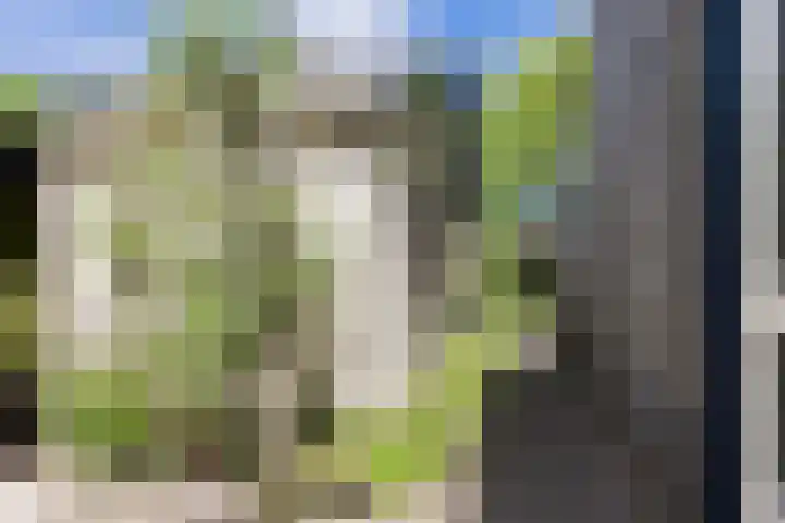 Borg 1 Grijpskerk thumbnail 45