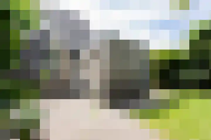 Borg 1 Grijpskerk thumbnail 46