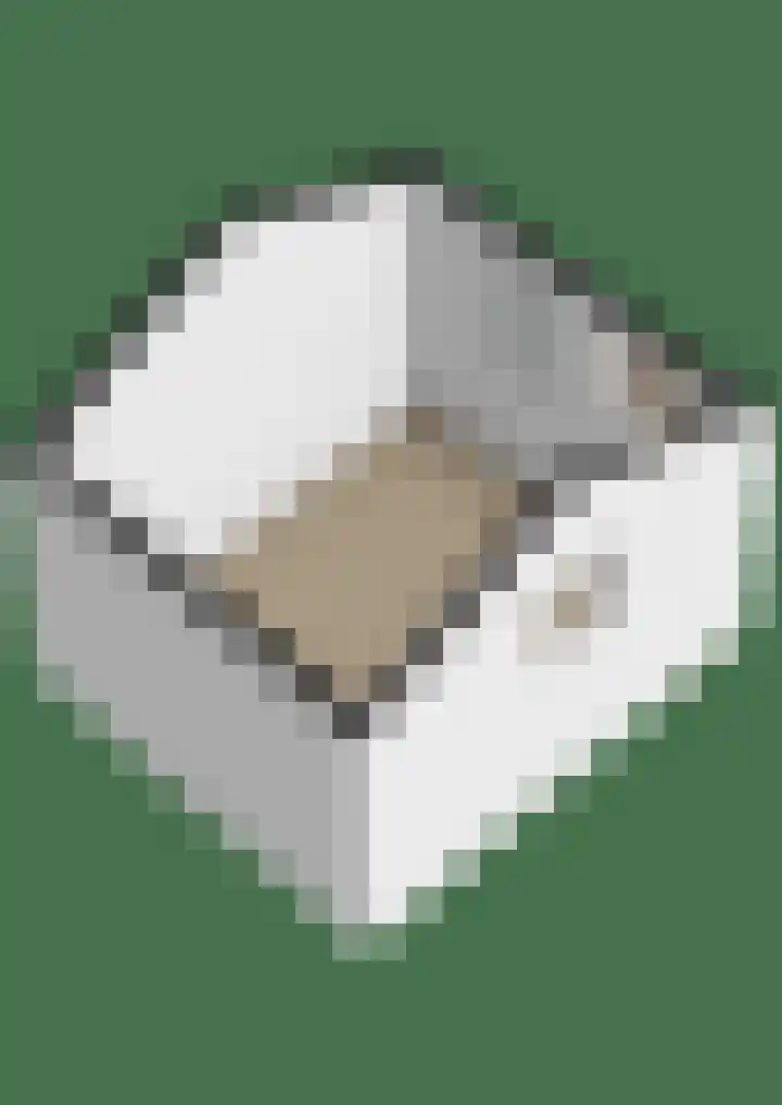 Borg 1 Grijpskerk thumbnail 56