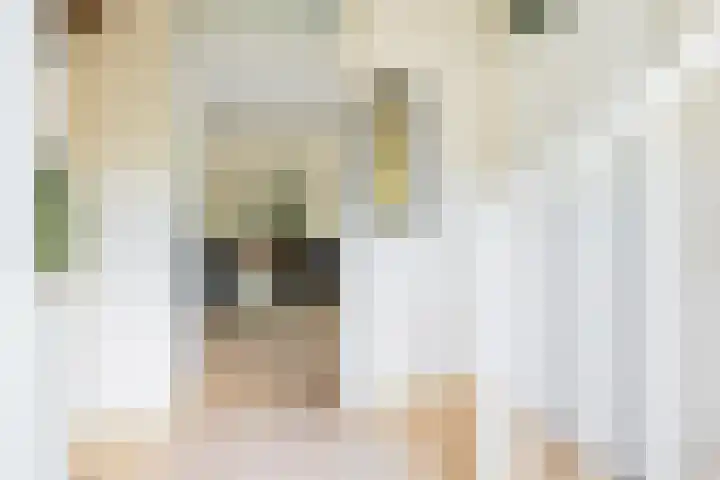 Borg 1 Grijpskerk thumbnail 7