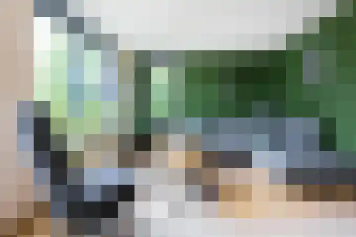 Borg 1 Grijpskerk thumbnail 8