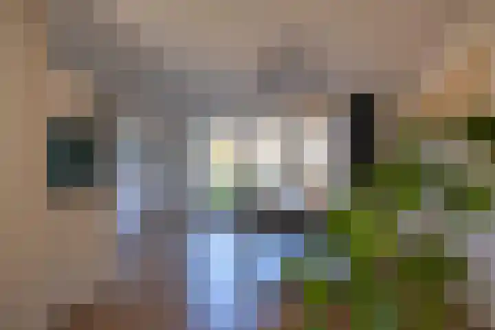 Borg 5 Grijpskerk thumbnail 11
